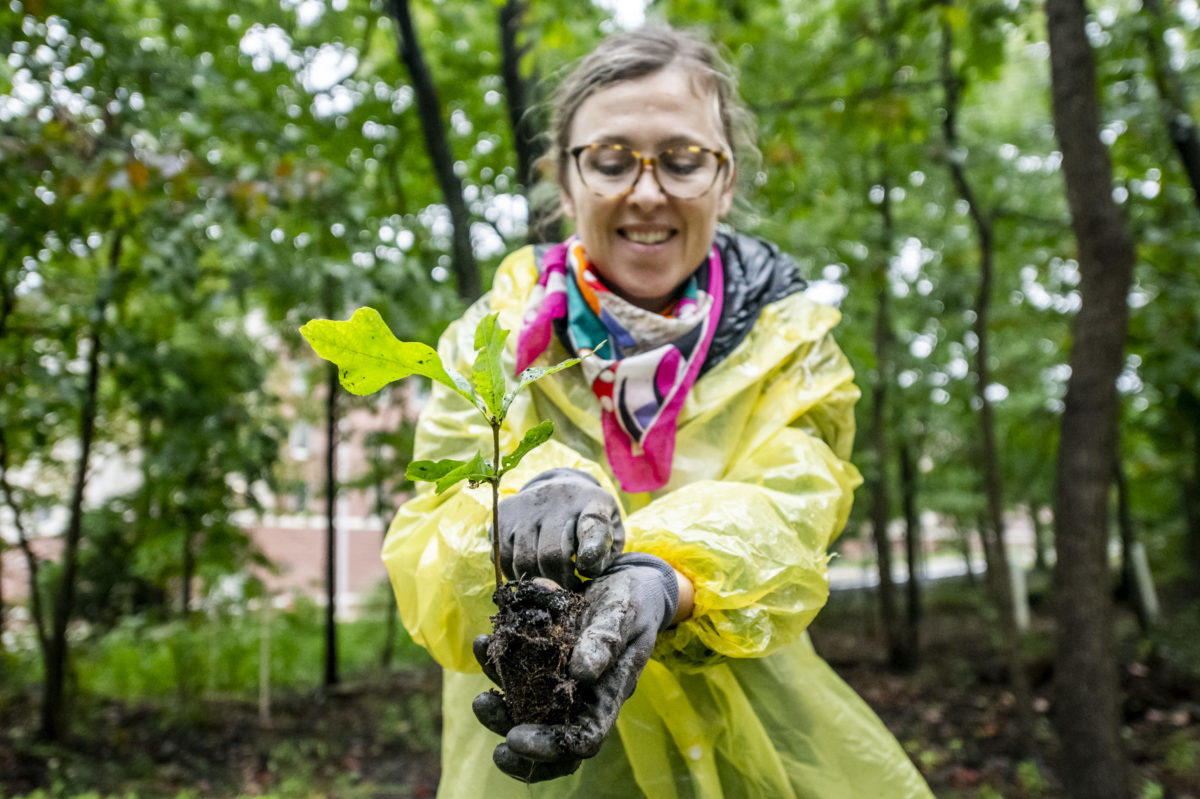 Artist Katie Kehoe, a white woman with light brown hair wearing tortoiseshell glasses, wears a rain jacket and gloves, holding a tree seedling towards the camera.